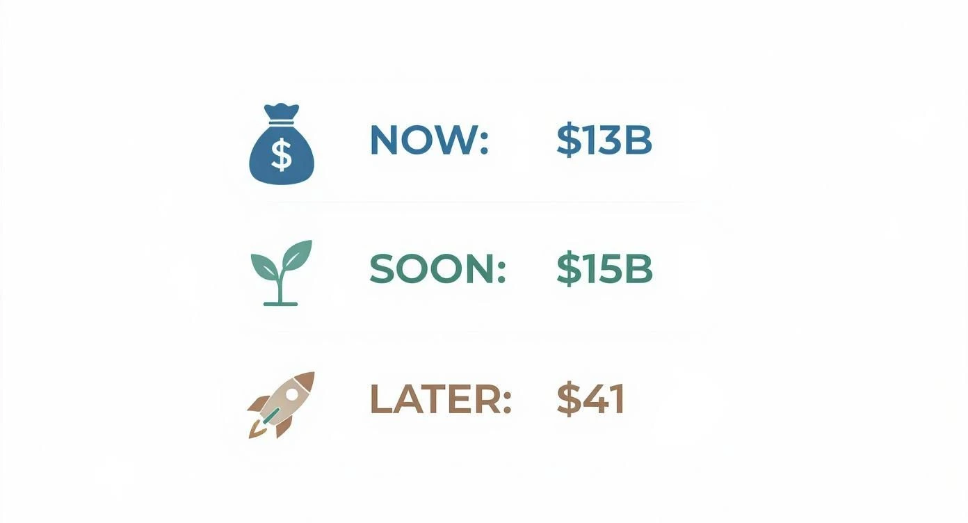 Infographic about how to create a loyalty program