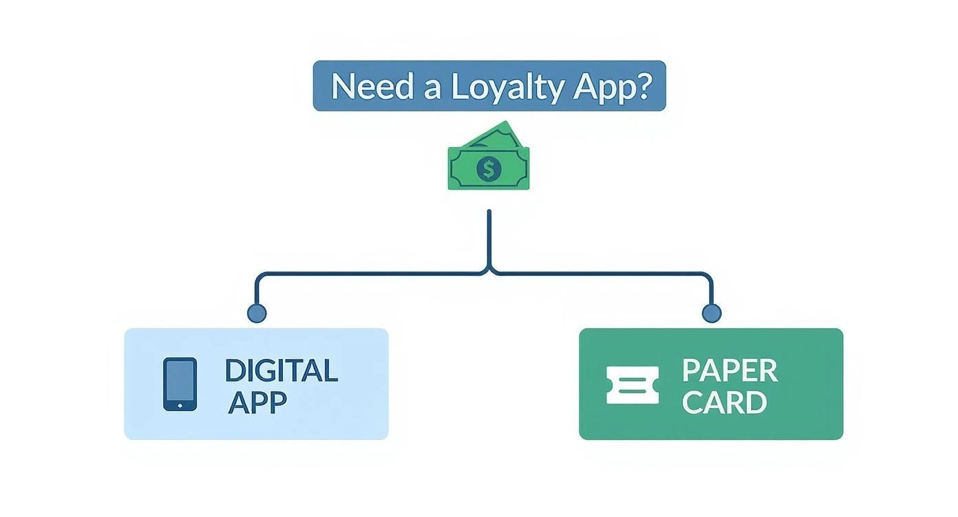 Infografika o aplikacji programu lojalnościowego dla małych firm